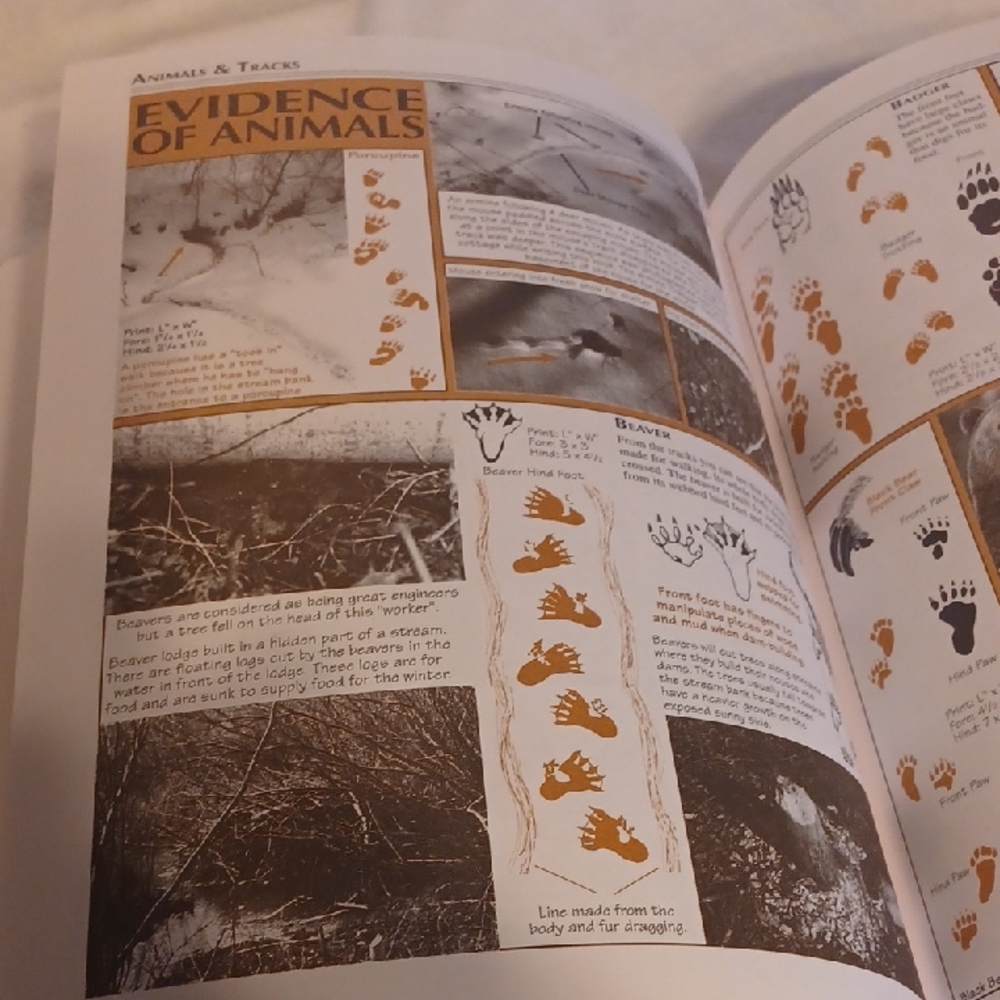 Camping & Wilderness Survival Book The Ultimate Outdoor Book - Picture 6 of 12